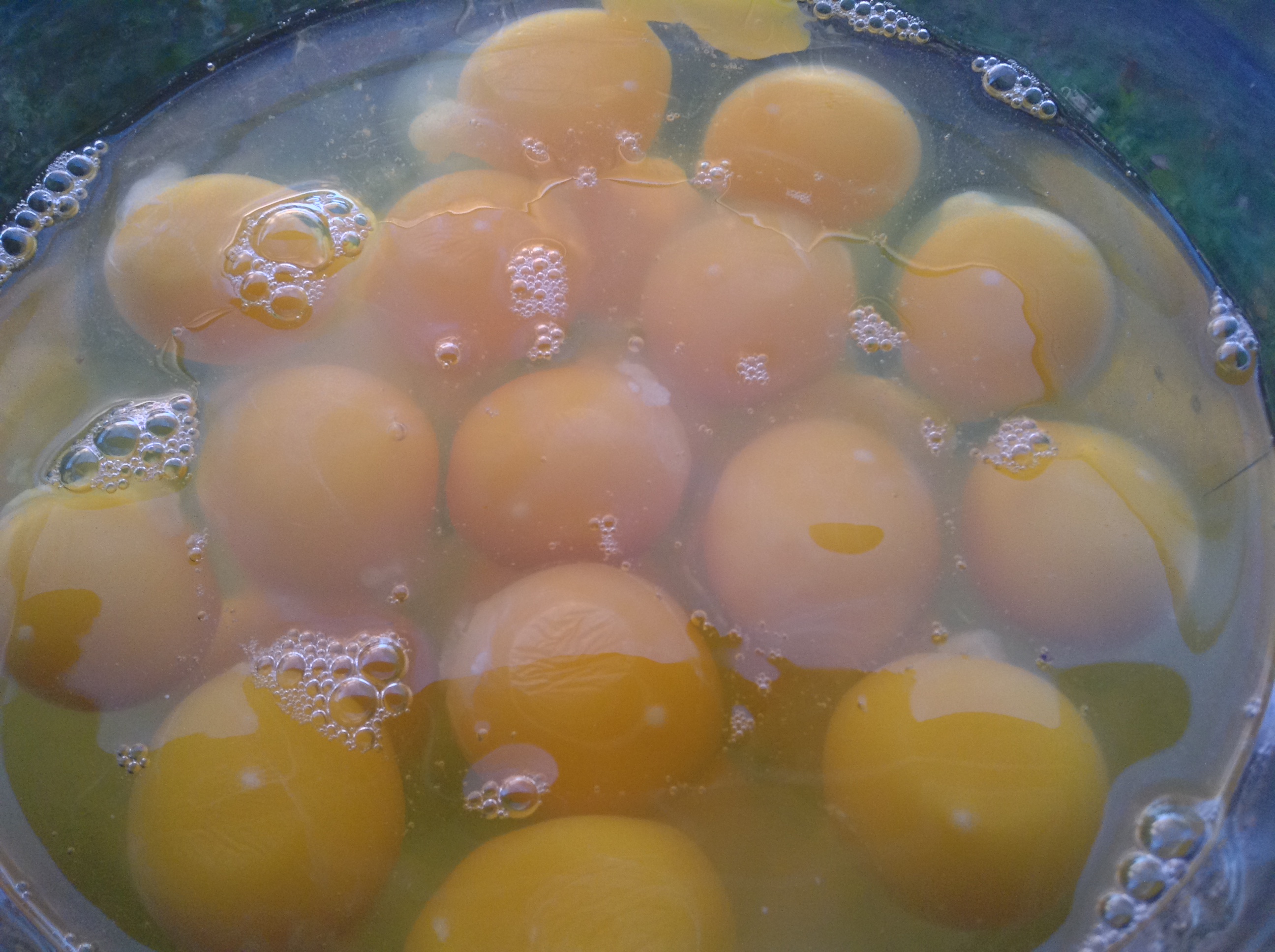 food blog eggs