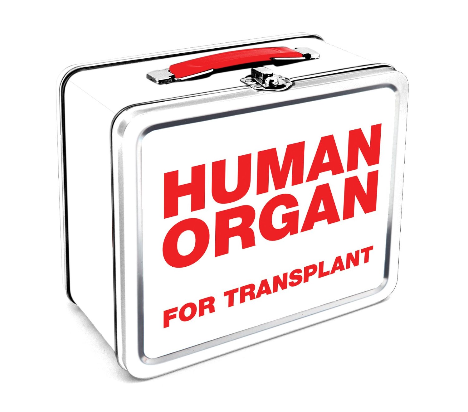 human organs lunch box